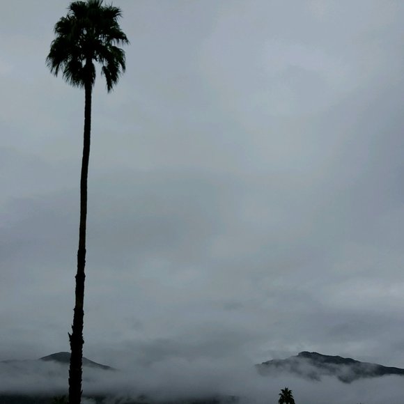 Meet your Posher, Kathy - Picture 2 of 2